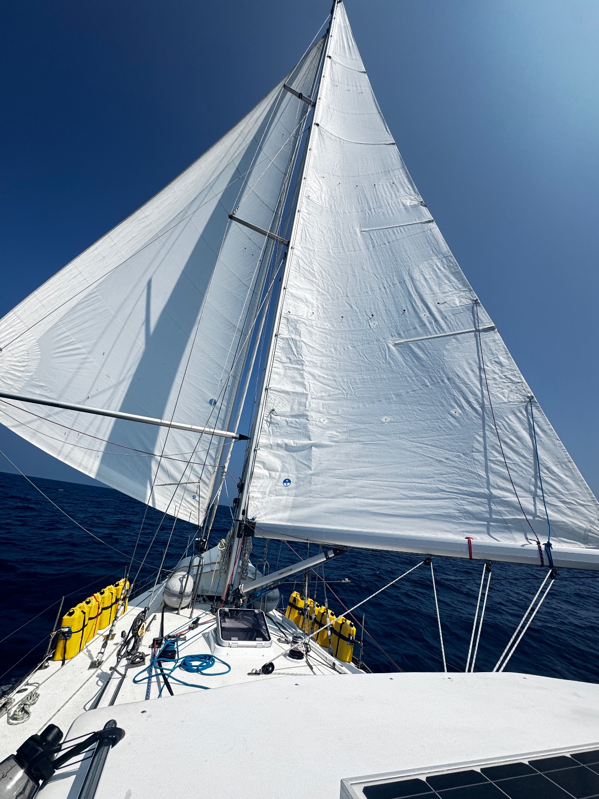 Poled out Genoa and preventer on main sail for wing on wing downwind run
